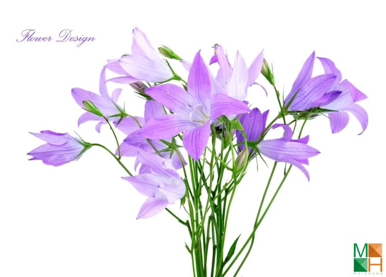 Tranh dán tường phòng ngủ đẹp tại Hà Nội FW - 018